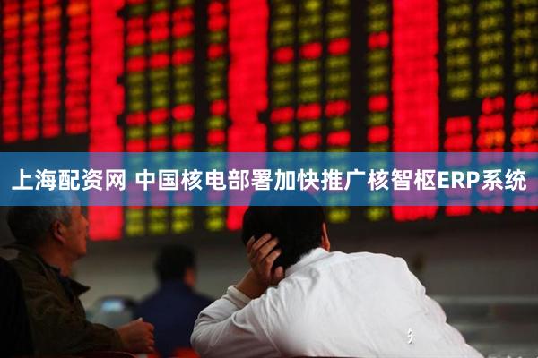 上海配资网 中国核电部署加快推广核智枢ERP系统