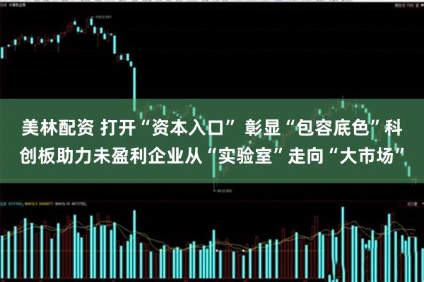 美林配资 打开“资本入口” 彰显“包容底色”科创板助力未盈利企业从“实验室”走向“大市场”