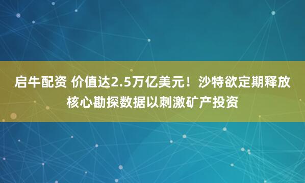 启牛配资 价值达2.5万亿美元！沙特欲定期释放核心勘探数据以刺激矿产投资